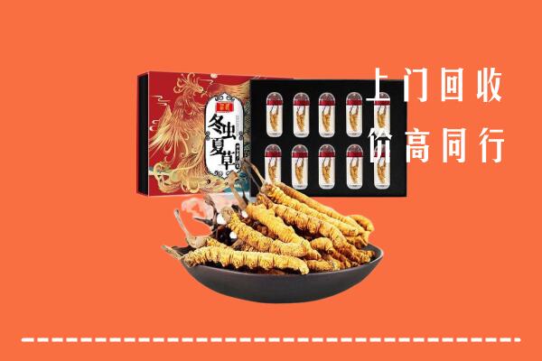 阳江阳东区回收虫草